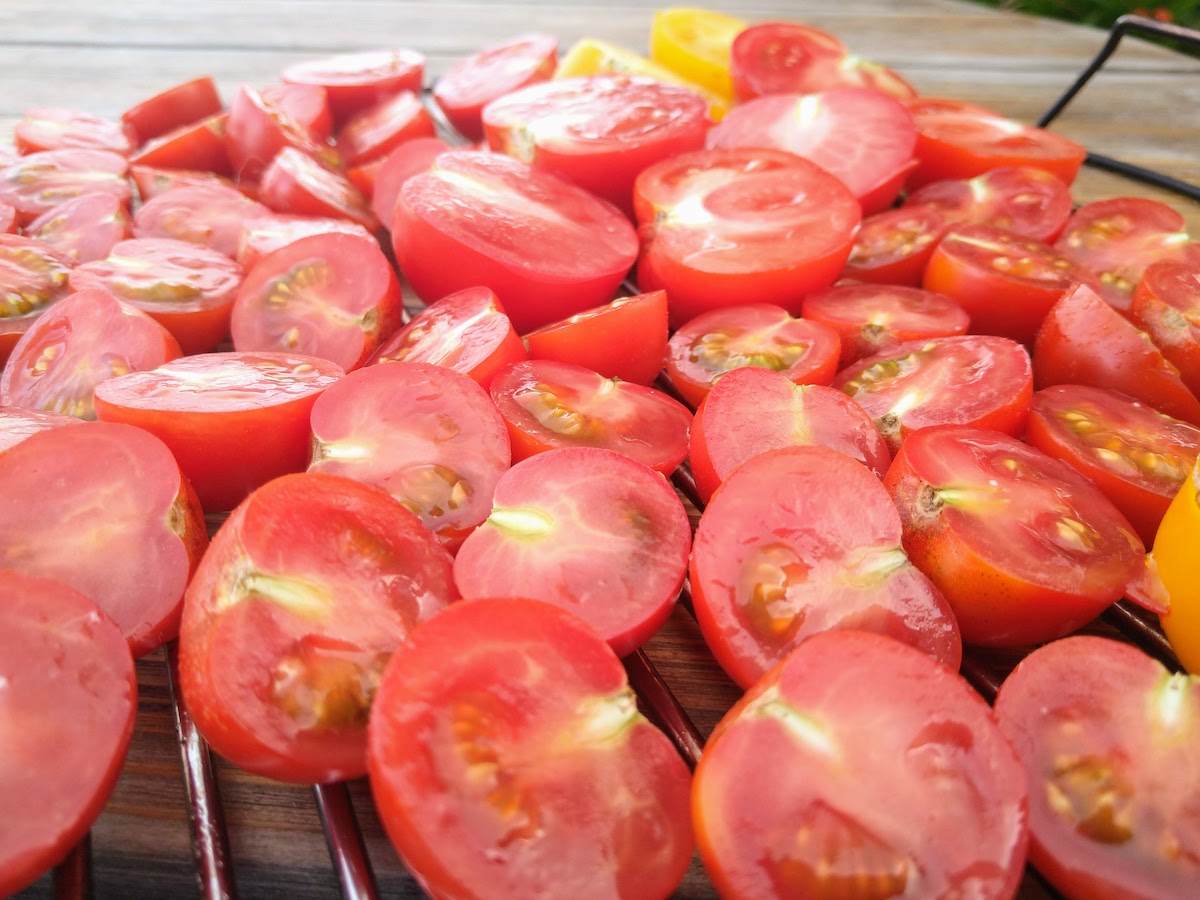 Tomatoes chopped and ready for the smoker